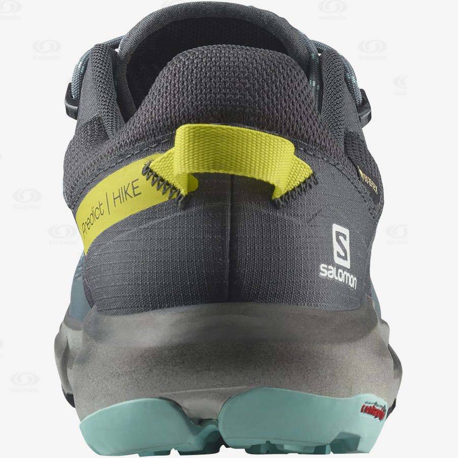 Tenis Senderismo Salomon PREDICT HIKE GORE-TEX Mujer Plateados | MX-S1961