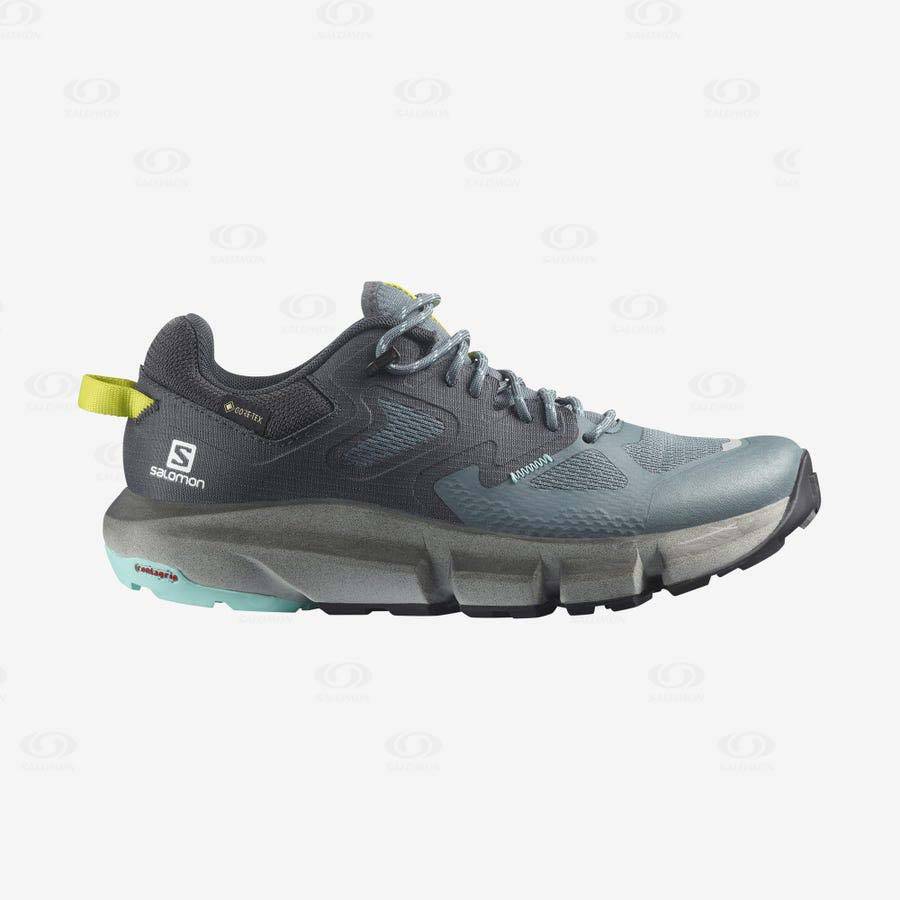 Tenis Senderismo Salomon PREDICT HIKE GORE-TEX Mujer Plateados | MX-S1961