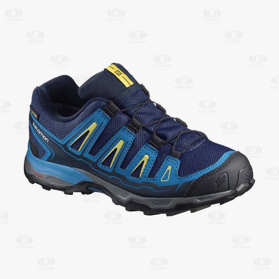 Tenis Senderismo Salomon X-ULTRA MID GORE-TEX Niños Azules | MX-O1362