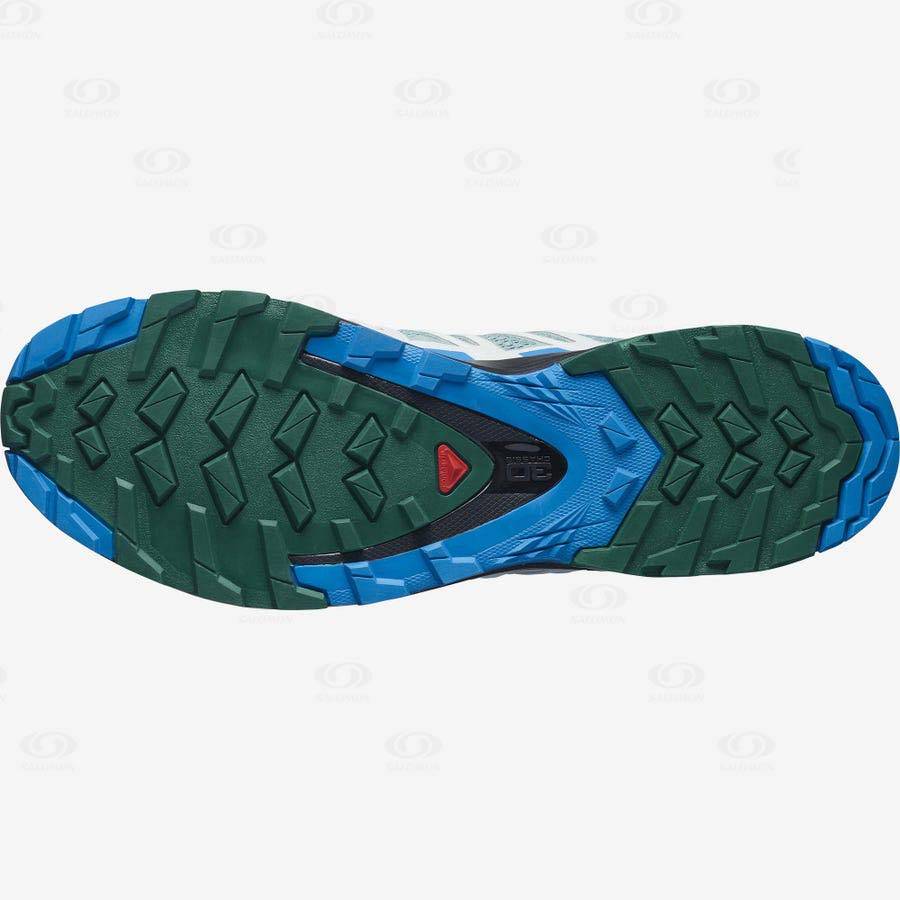 Tenis Trail Running Salomon XA PRO 3D v8 Hombre Verde Menta | MX-A2543