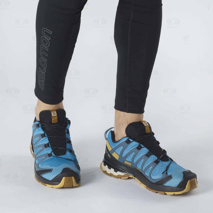 Tenis Trail Running Salomon XA PRO 3D v8 Hombre Azules | MX-O1574