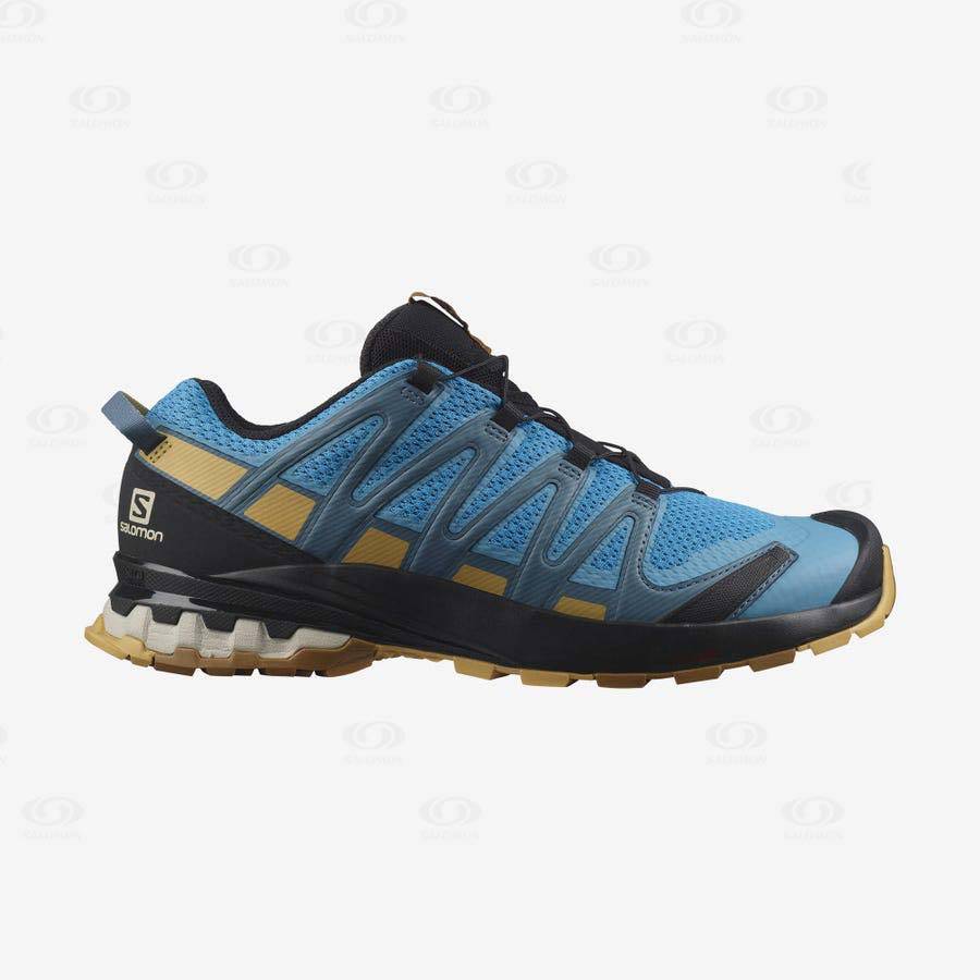 Tenis Trail Running Salomon XA PRO 3D v8 Hombre Azules | MX-O1574