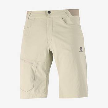 Bermudas Salomon WAYFARER Hombre Beige | MX-N2044