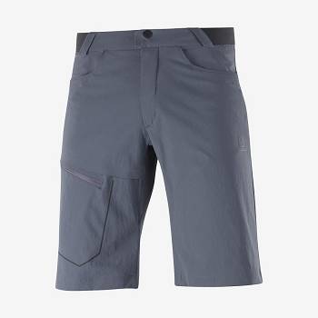 Bermudas Salomon WAYFARER Hombre Grises | MX-W4050