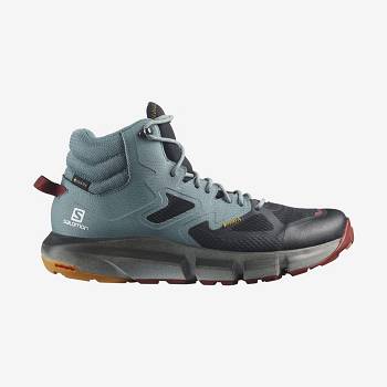 Botas Montaña Salomon PREDICT HIKE MID GORE-TEX Hombre Turquesa | MX-O2321