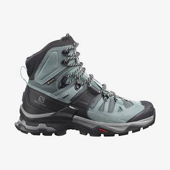 Botas Montaña Salomon QUEST 4 GORE-TEX Mujer Azules | MX-S1268