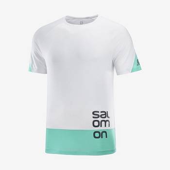 Camiseta Salomon CROSS RUN GRAPHIC Hombre Blancos | MX-A2557