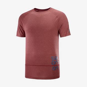 Camiseta Salomon CROSS RUN GRAPHIC Hombre Rojos | MX-O1476