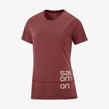 Camiseta Salomon CROSS RUN GRAPHIC Mujer Rojos | MX-A1766