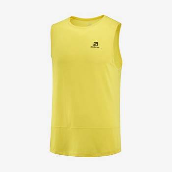 Camiseta Salomon CROSS RUN Hombre Amarillos | MX-N1050