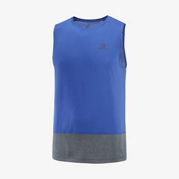 Camiseta Salomon CROSS RUN Hombre Azules | MX-W1360