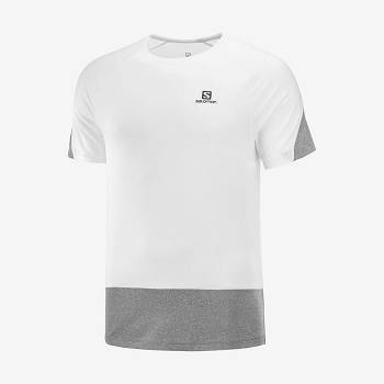 Camiseta Salomon CROSS RUN Hombre Blancos | MX-N1400