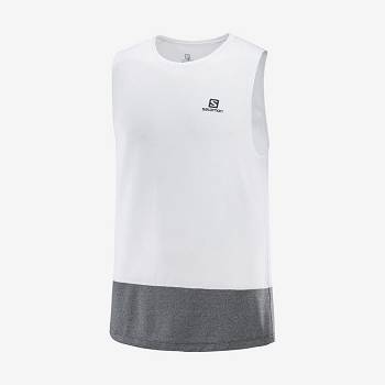 Camiseta Salomon CROSS RUN Hombre Blancos | MX-S2409