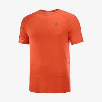 Camiseta Salomon CROSS RUN Hombre Naranjas | MX-L1550