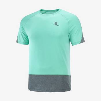 Camiseta Salomon CROSS RUN Hombre Verde Menta | MX-O2048