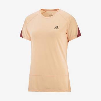 Camiseta Salomon CROSS RUN Mujer Beige | MX-M2560