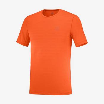 Camiseta Salomon OUTLINE Hombre Naranjas | MX-O1371