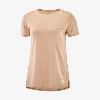 Camiseta Salomon OUTLINE SUMMER Mujer Beige | MX-L1235