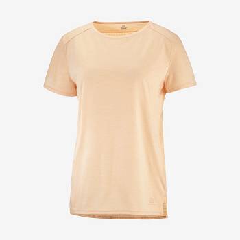 Camiseta Salomon OUTLINE SUMMER Mujer Marrom | MX-N2156