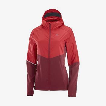 Chaqueta Softshell Salomon Chaquetas AGILE WIND Mujer Rojos | MX-O1789