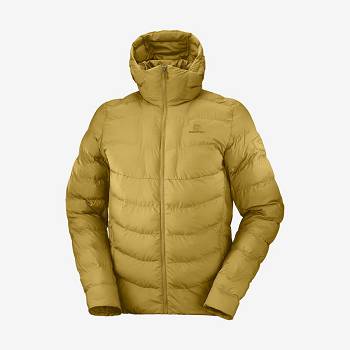 Chaqueta Softshell Salomon Chaquetas ESSENTIAL XWARM INSULATED Hombre Amarillos | MX-M2588