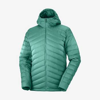 Chaqueta Softshell Salomon Chaquetas ESSENTIAL XWARM DOWN Hombre Verdes | MX-N2457