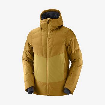 Chaqueta Softshell Salomon Chaquetas SNOWSHELTER Hombre Marrom | MX-A1115