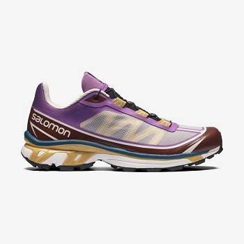 Tenis Salomon XT-6 FT Mujer Morados Chocolate | MX-L2152